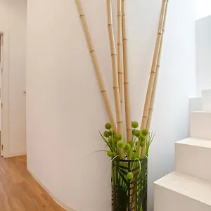  Appartement Genteel Santa Teresa Spanje